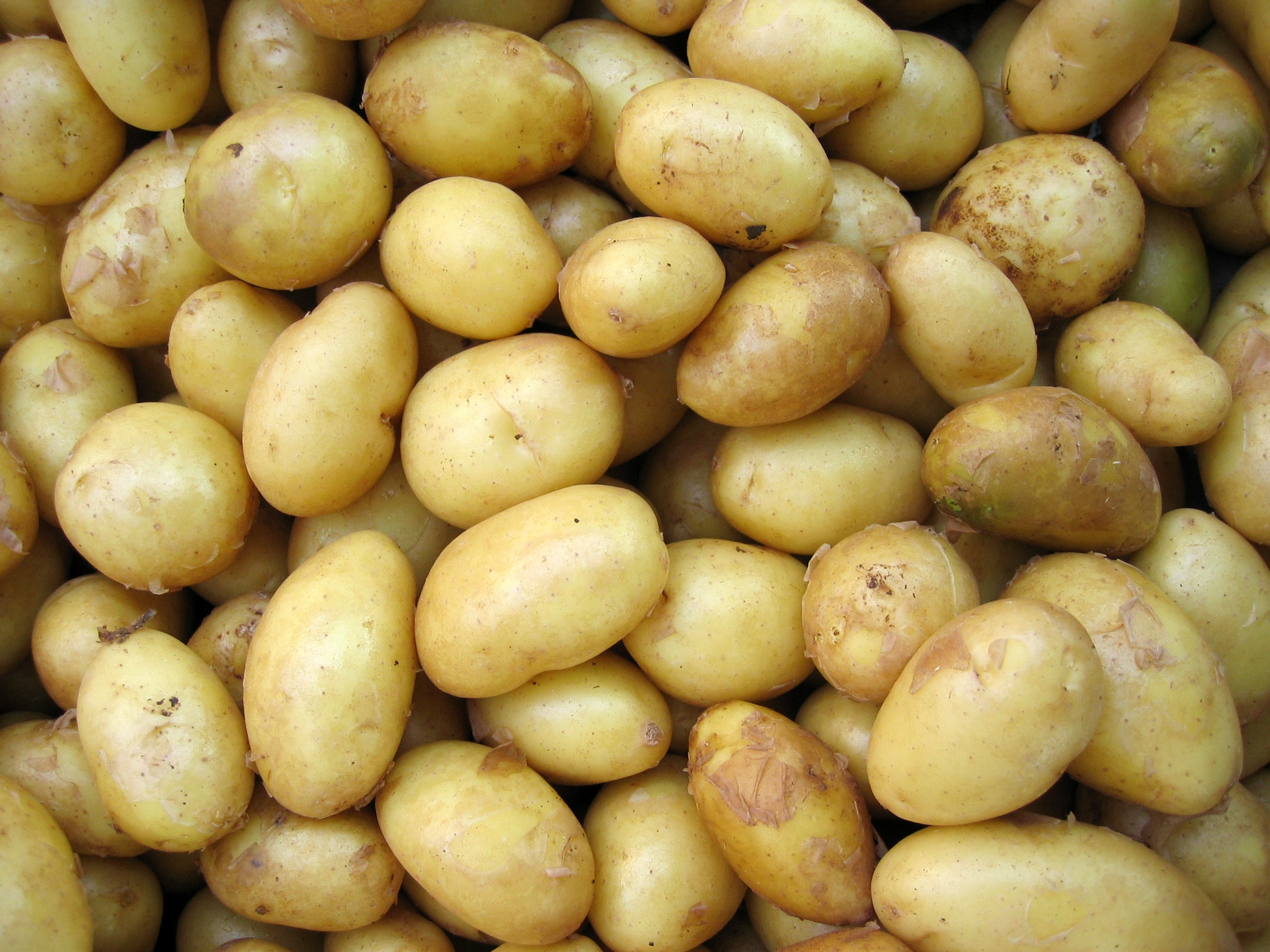 How to Tell if a Potato is Bad: Facts You Must Know About Your Staple Food 2