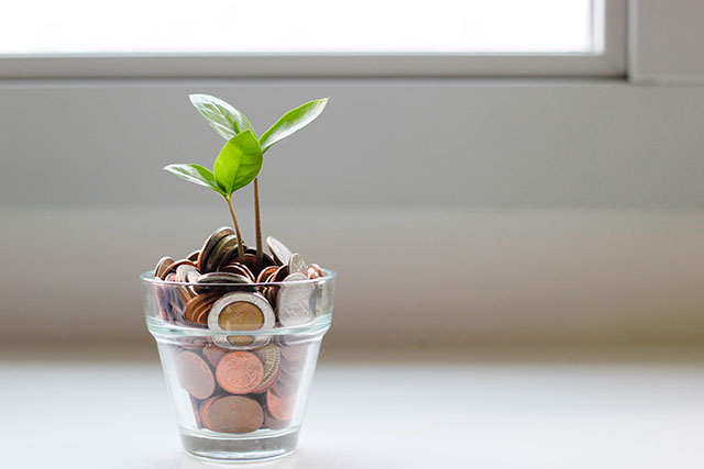Let your Gameflip seller profile become your own personal money tree! (Image Source: Micheile Henderson on Unsplash.com)
