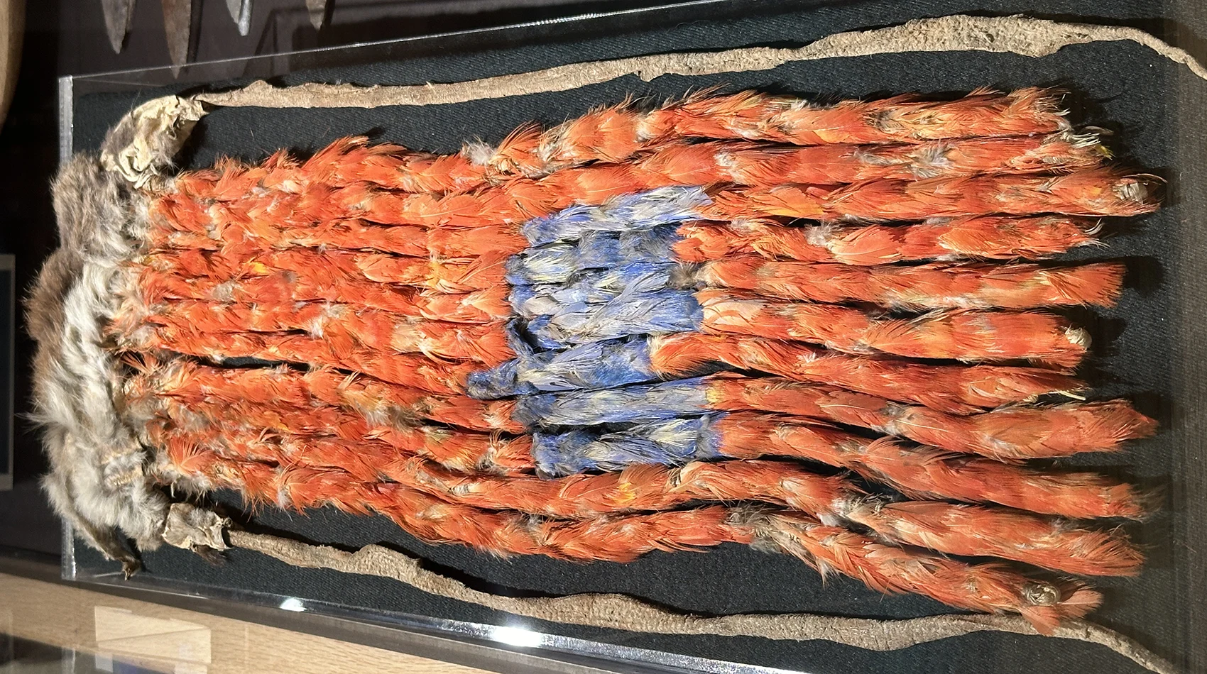 A beautiful macaw feather sash on display at Edge of the Cedar State Park Museum. Photo by Cheryl Fallstead.