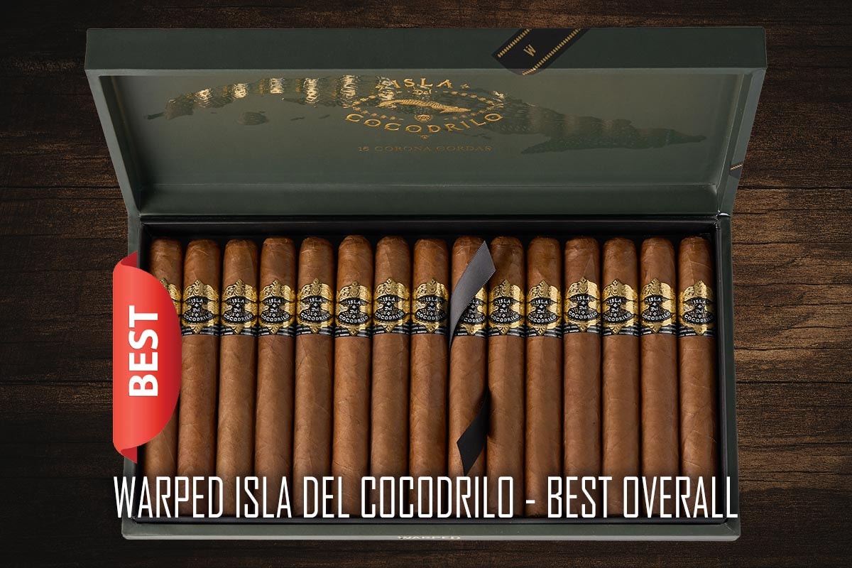 Warped Isla del Cocodrilo - Best Overall