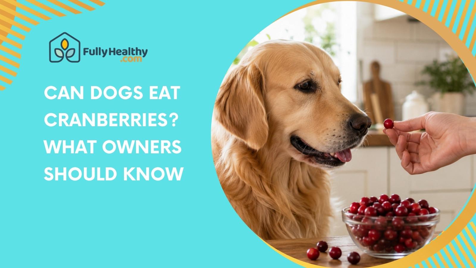 Can Dogs Eat Cranberries? What Owners Should Know