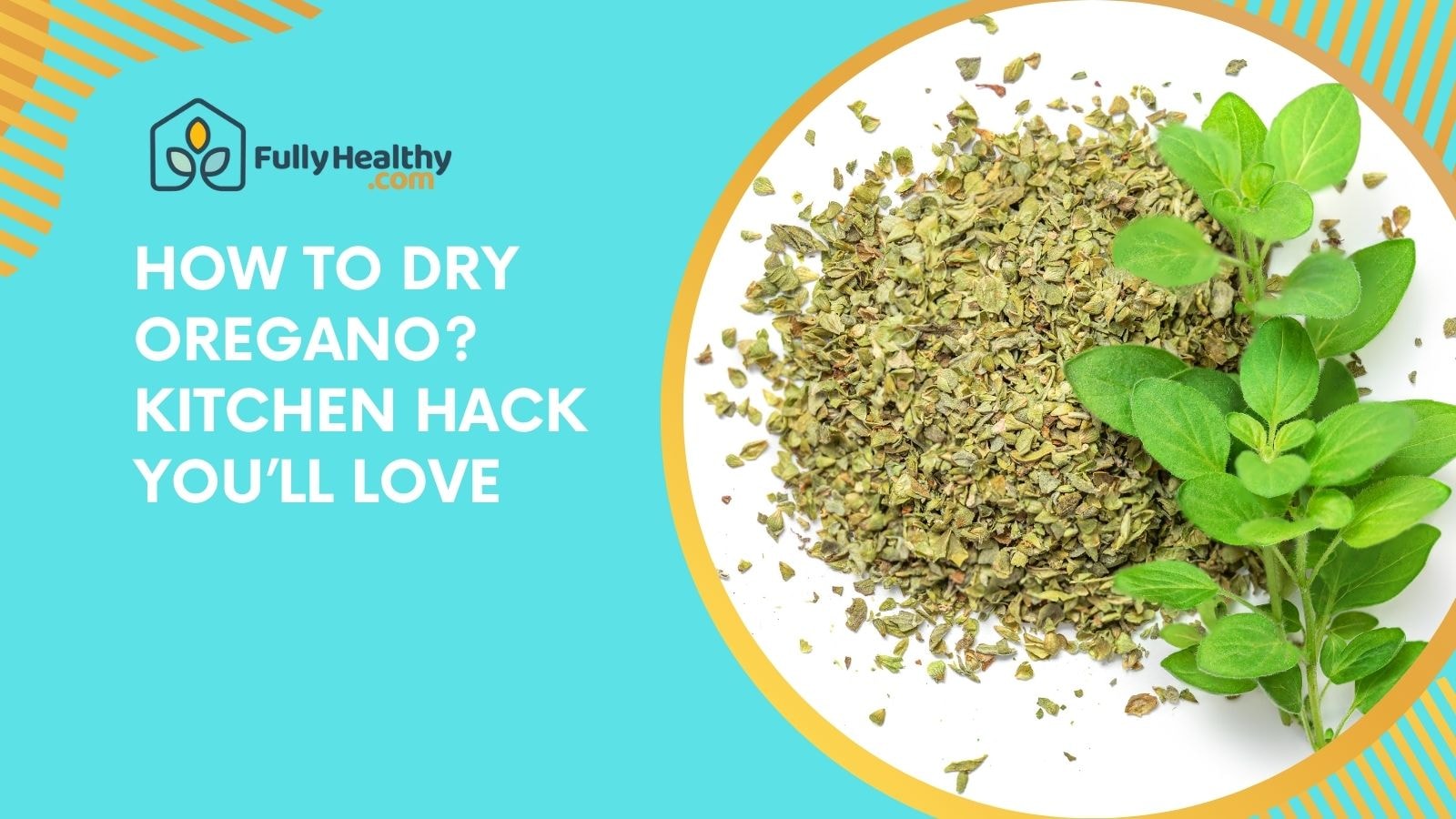 How to Dry Oregano? Kitchen Hack You’ll Love