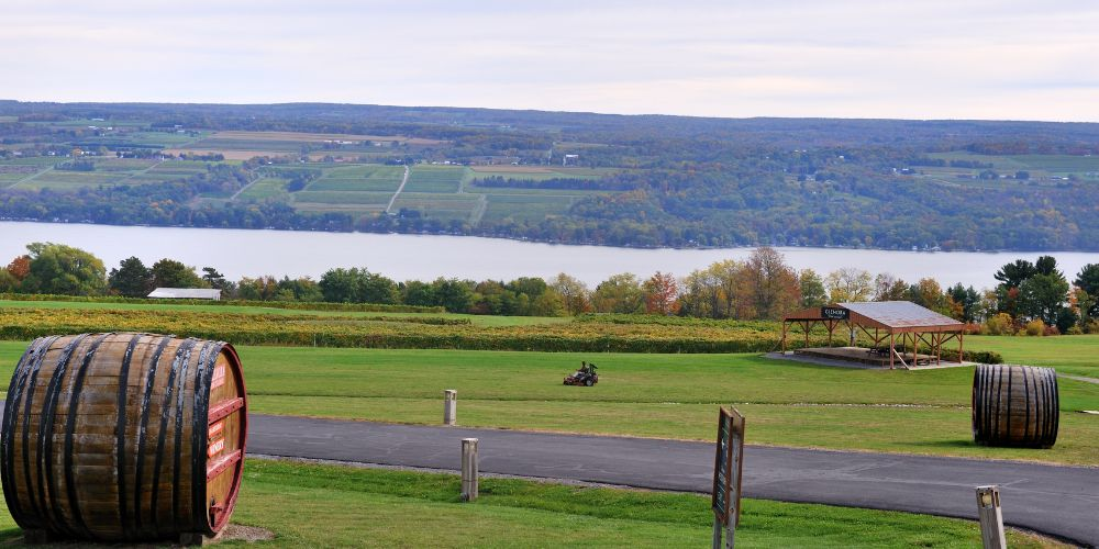 Wine and Wineries in Finger Lakes