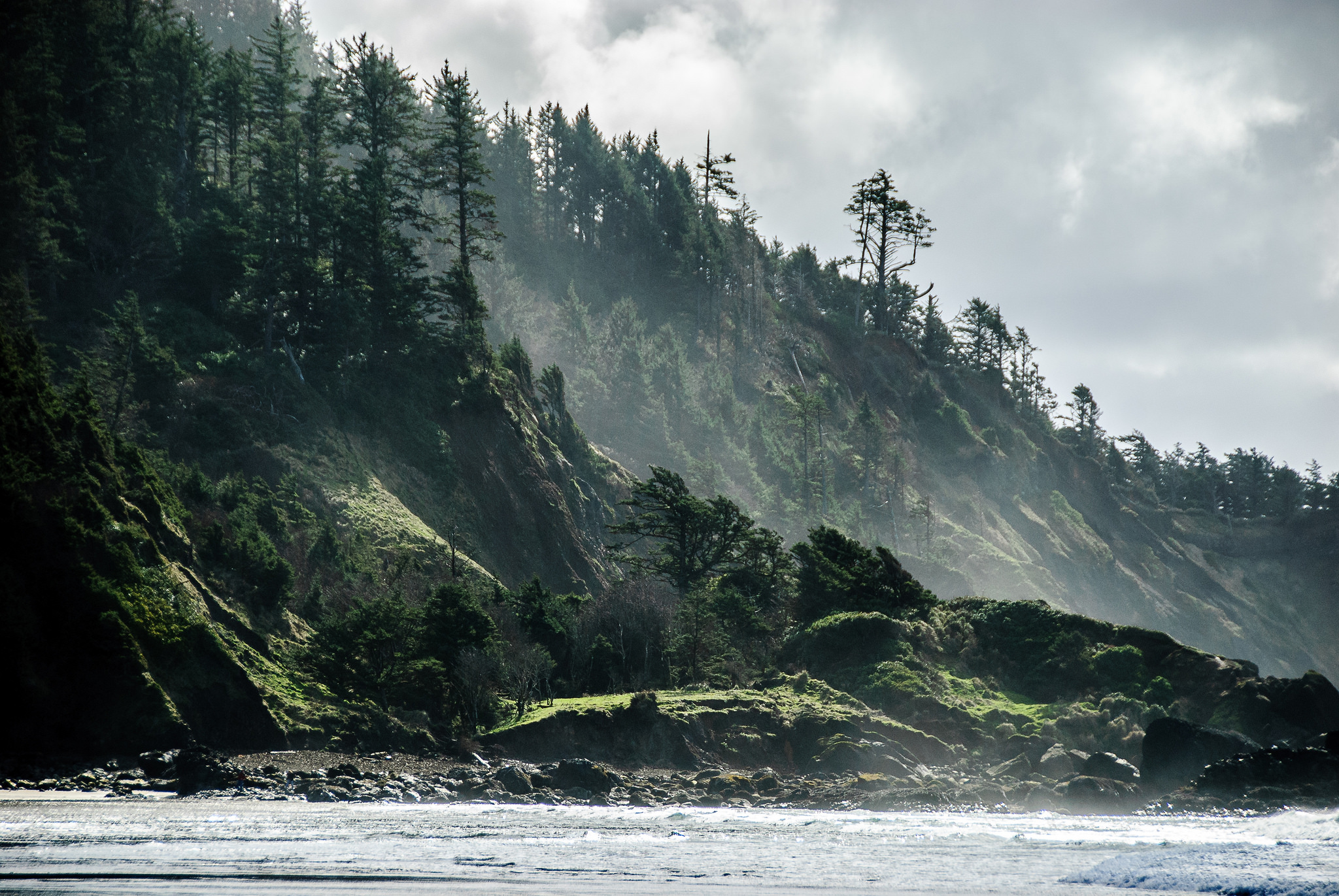 pacific northwest view