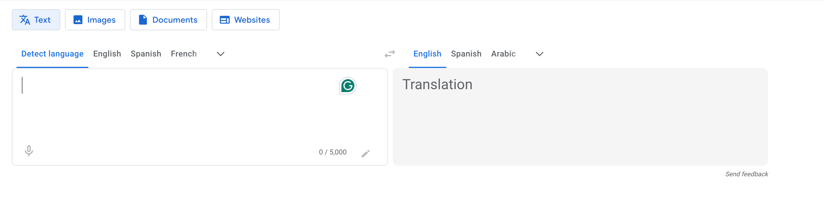 Google Translate Interface