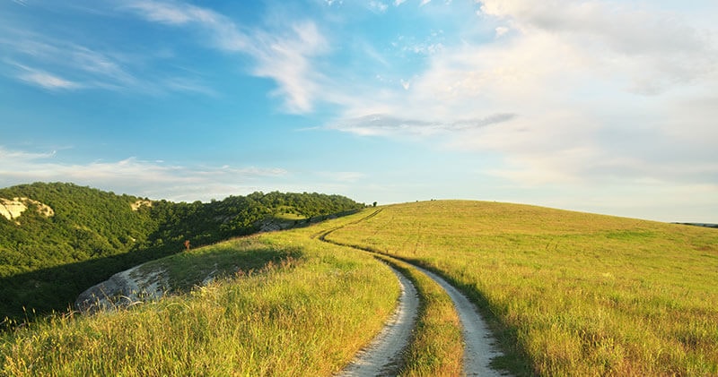 A quiet path rising over a hill — a reminder that grit often begins by choosing a direction others overlook.