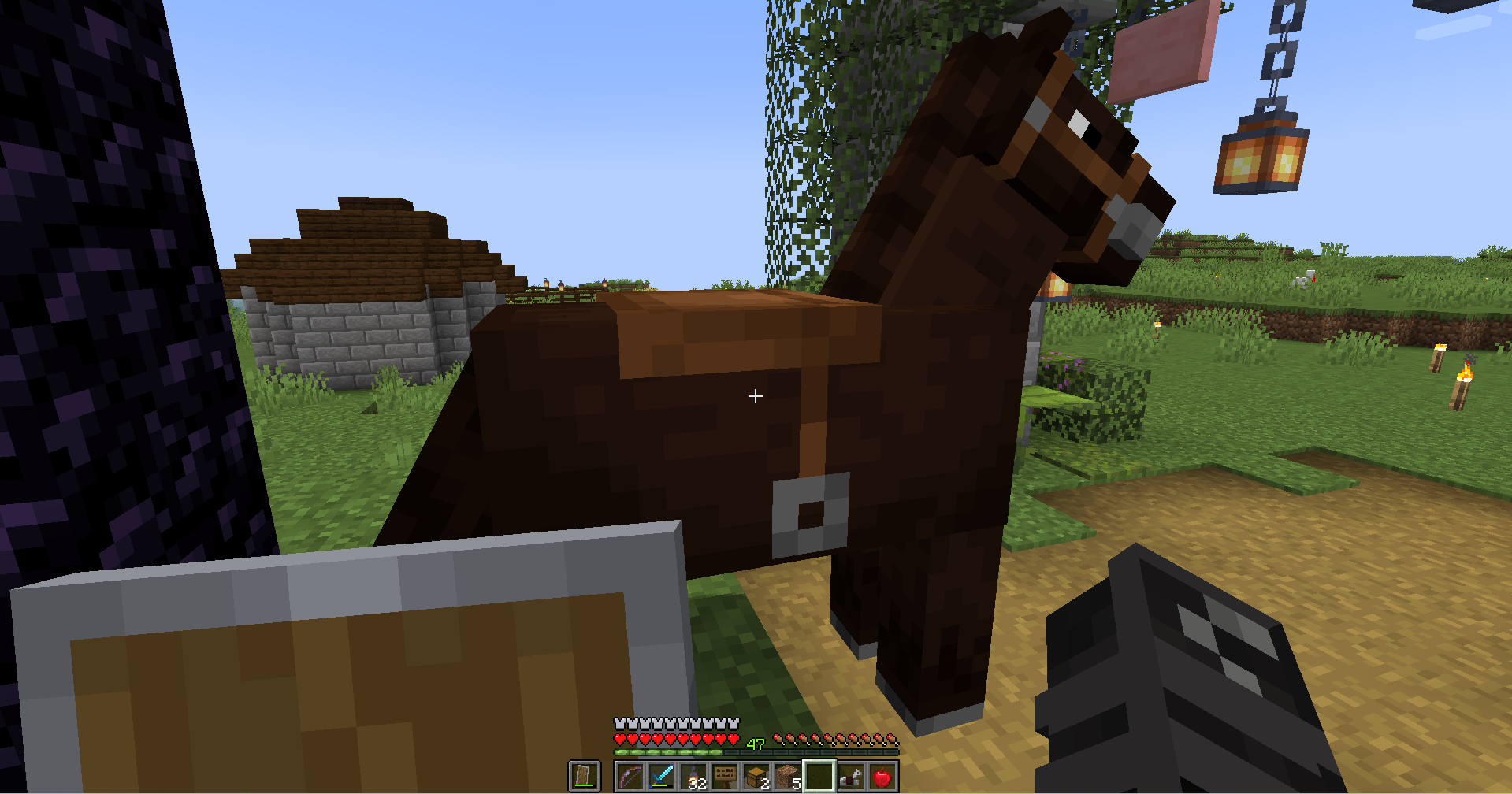 A saddled horse.