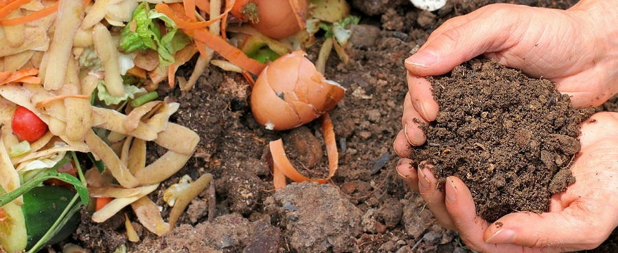 What a compost pile requires