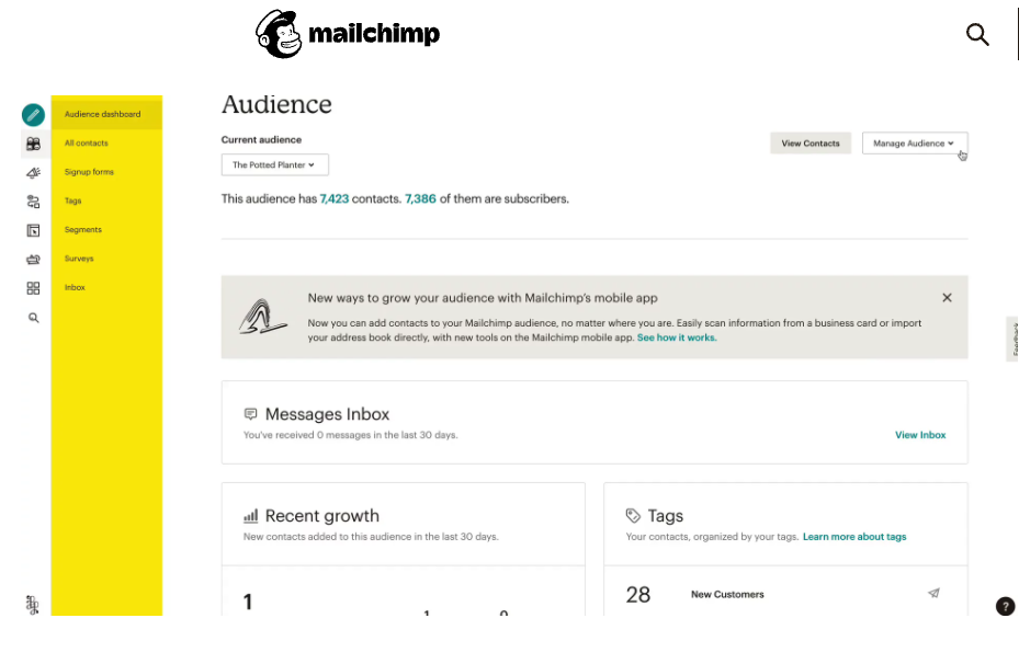 Mailchimp Audience Page