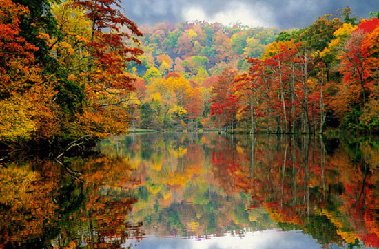 Fall foliage at Beavers Bend State Park 