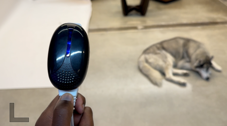 an electronic pest deterrent and a dog