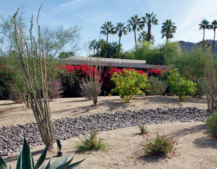 A drought-tolerant landscape.