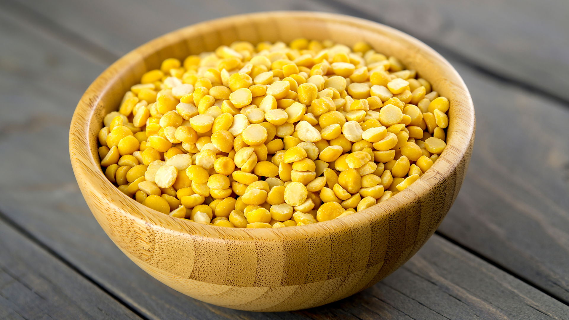 Erbsenprotein Hund, Erbsen, Hunde, Hund, Erbse, Eiweiß,