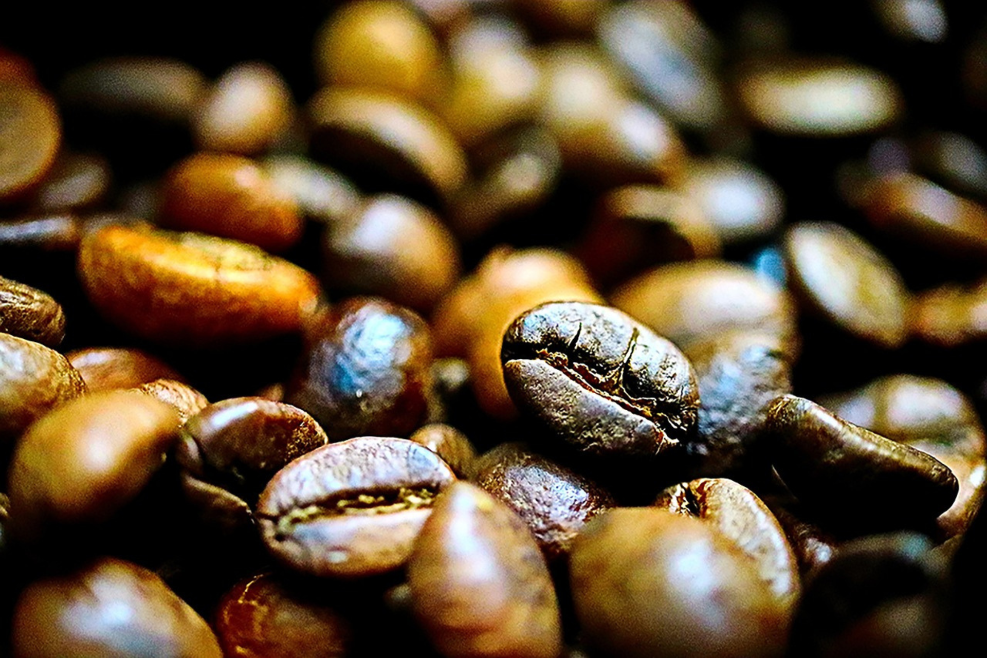 Grãos de café. Imagem: LeeJeongSoo - Pixabay.