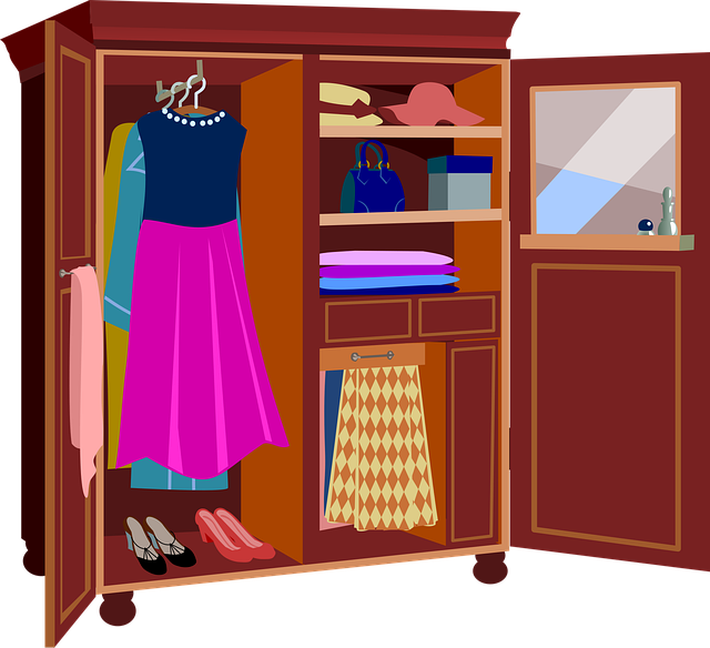 wardrobe, clothing, furniture