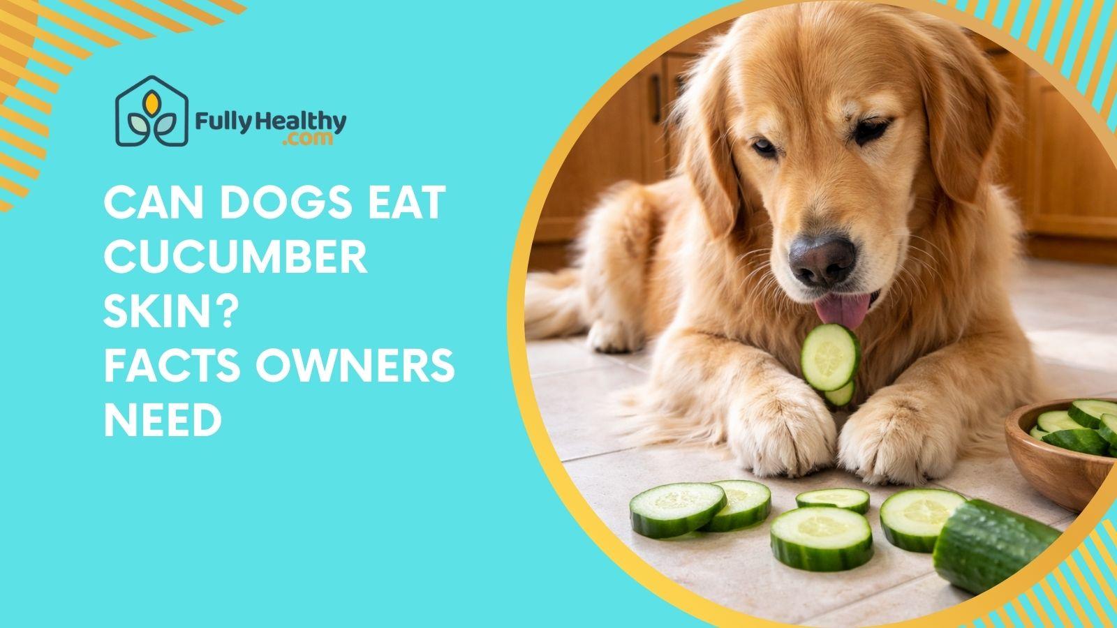 Can Dogs Eat Cucumber Skin? Facts Owners Need