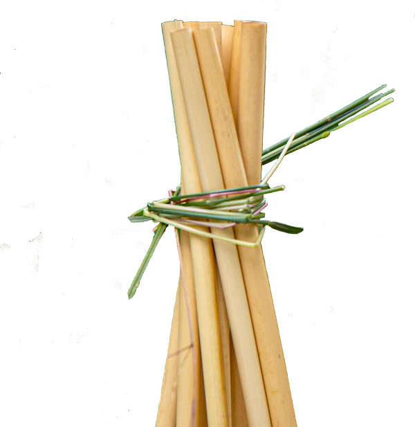 reed-straws bundle