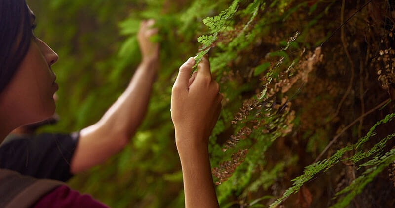 Practicing discipline daily to bring clarity to both life and work.