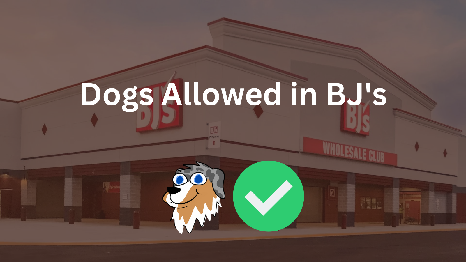 Image Text: "Dogs Allowed in BJ's"