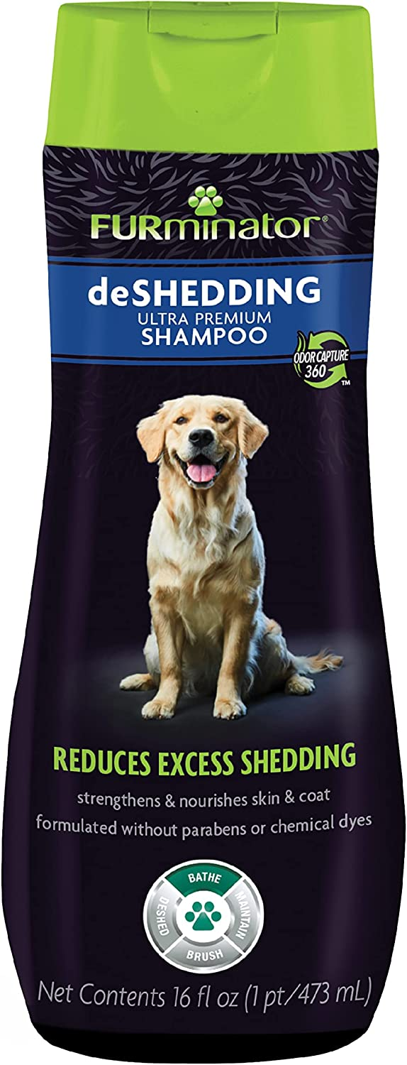 Best Deshedding Shampoos for Dogs
