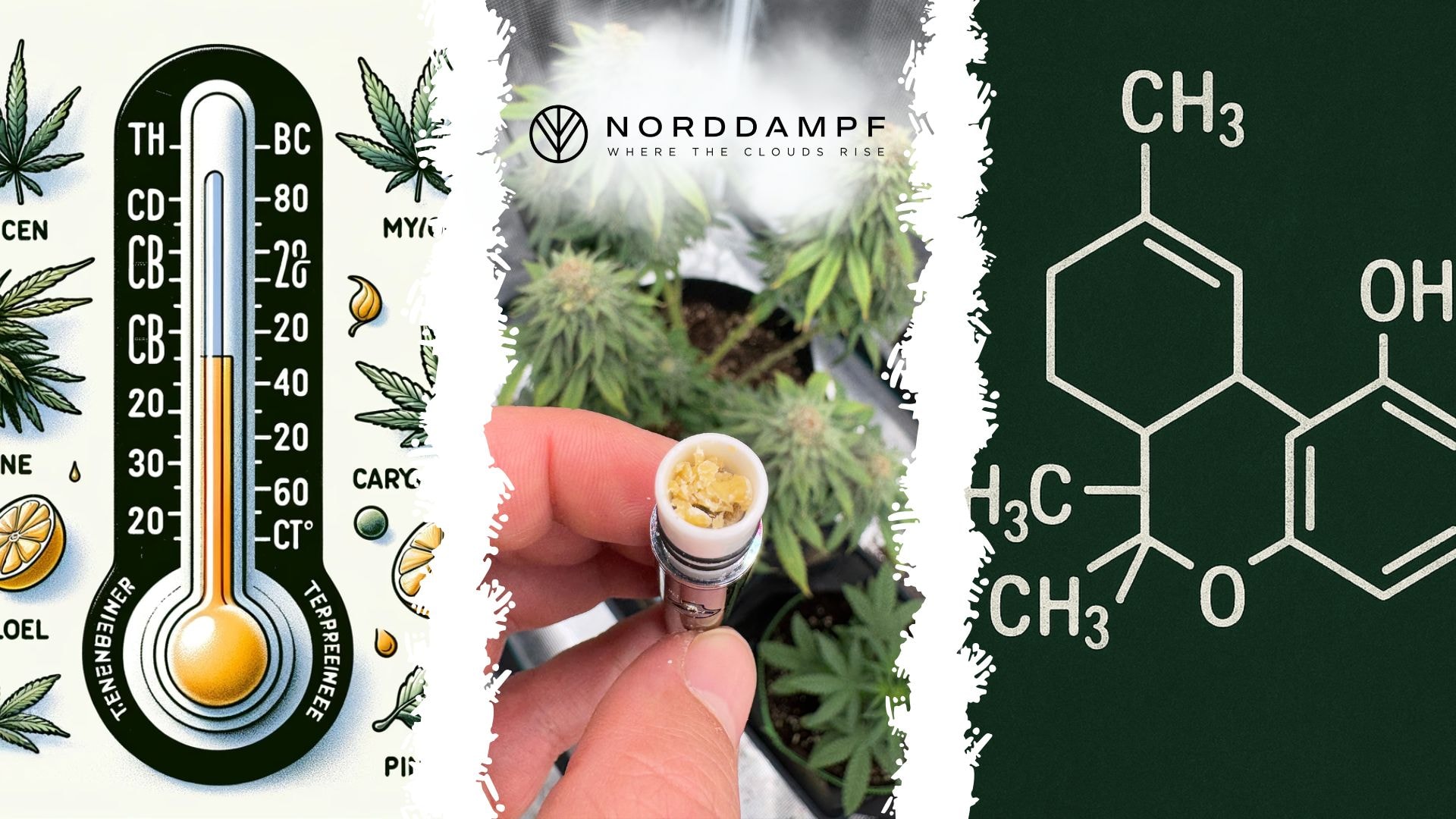 Relict Vaporizer geöffnet mit Kräutern im Füllfach