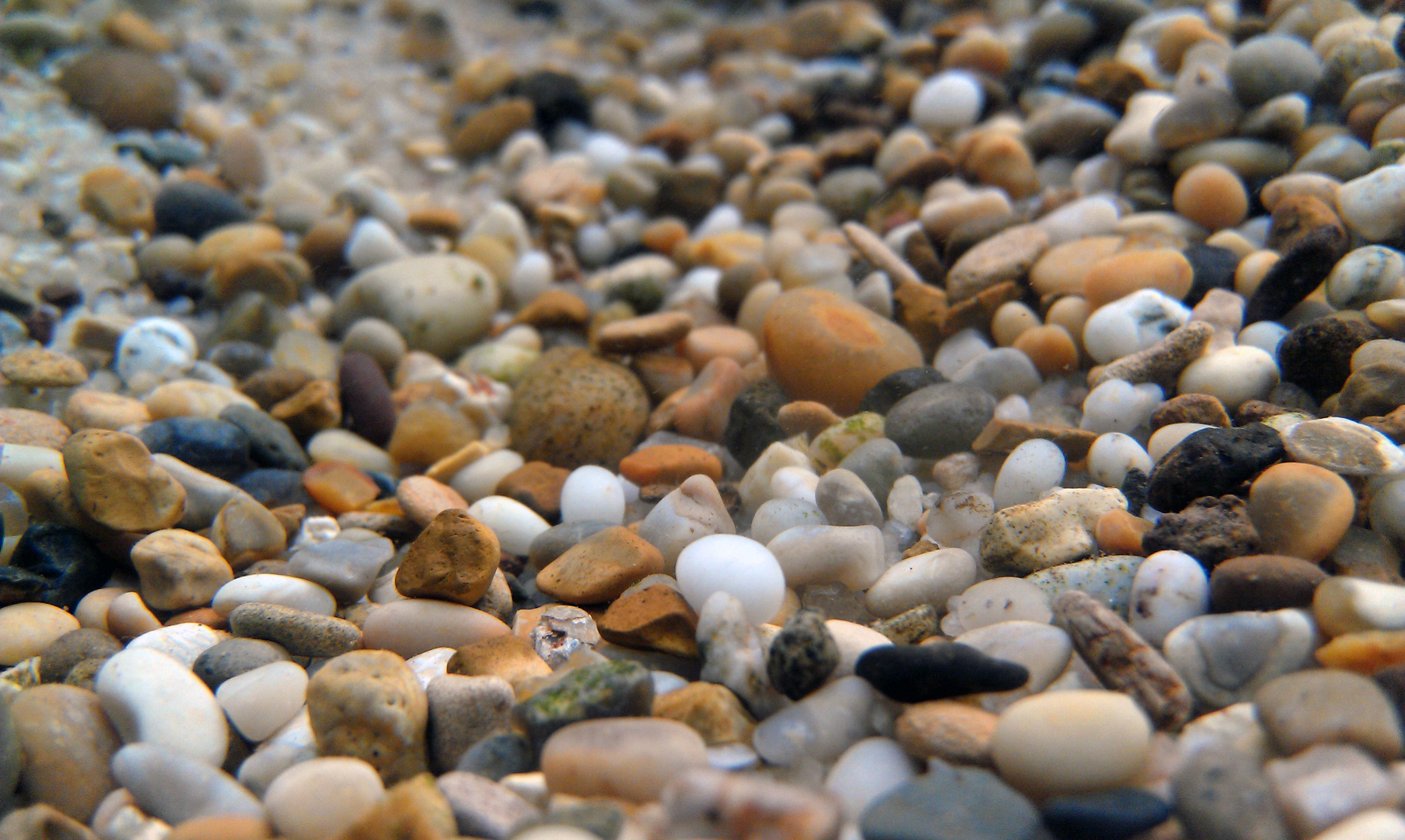 Choosing the right substrate depends on your aquarium needs