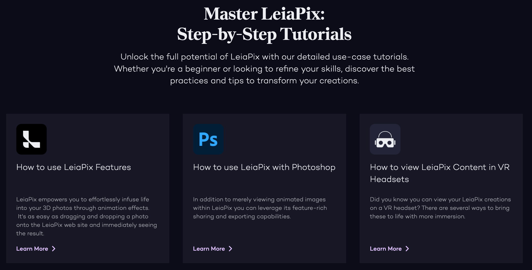 LeiaPix step by step tutorials