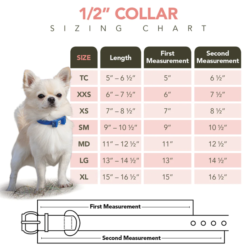 Image demonstrating how to understand collar sizing for a perfect fit.
