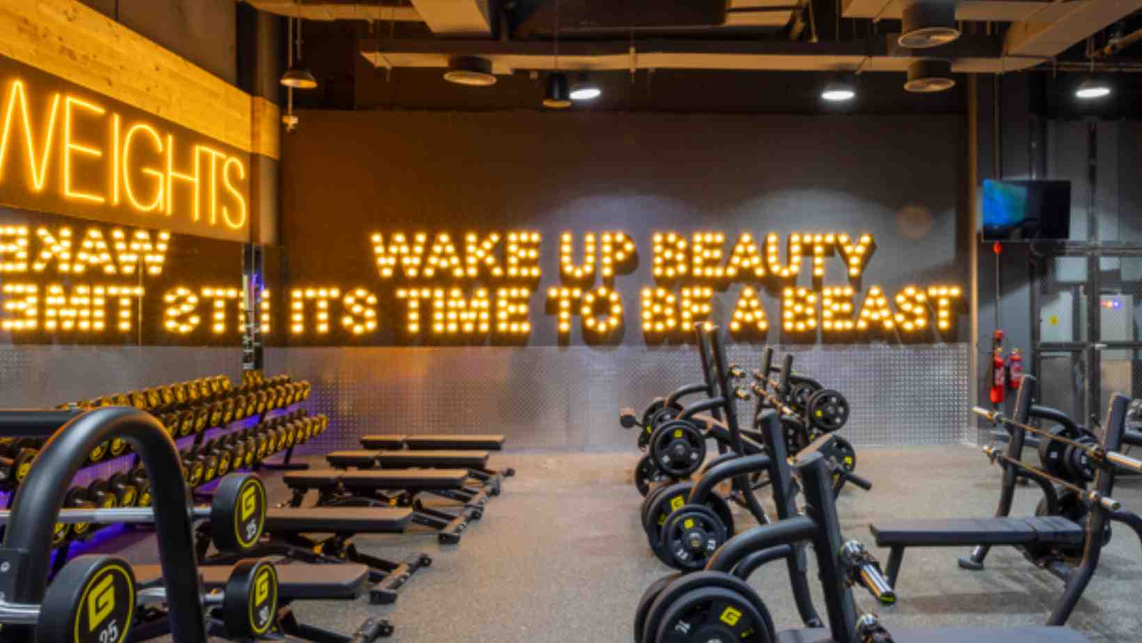 wake up beauty its time to be a neast gymnation motor city