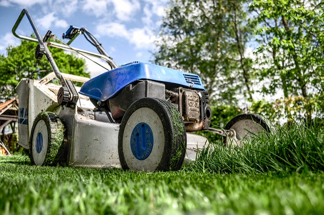 lawn mower, grass, garden, artificial grass, San Diego landscape, landscape design, San Diego homeowners, San Diego county, outdoor living spaces, landscape lighting, san Diego backyard, palm trees, installing artificial grass, drought resistant plants, garden design