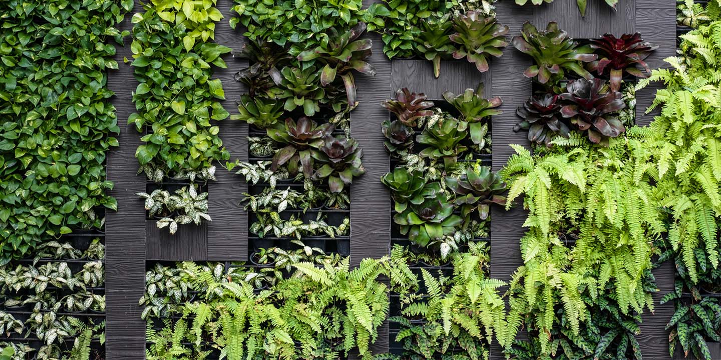 Greenwalls and Green Roofs are trending in landscape