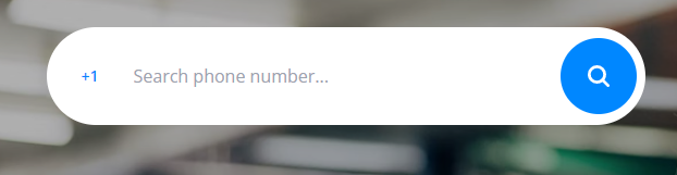 Truecaller search bar