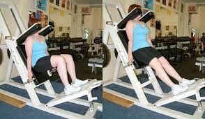 upper body