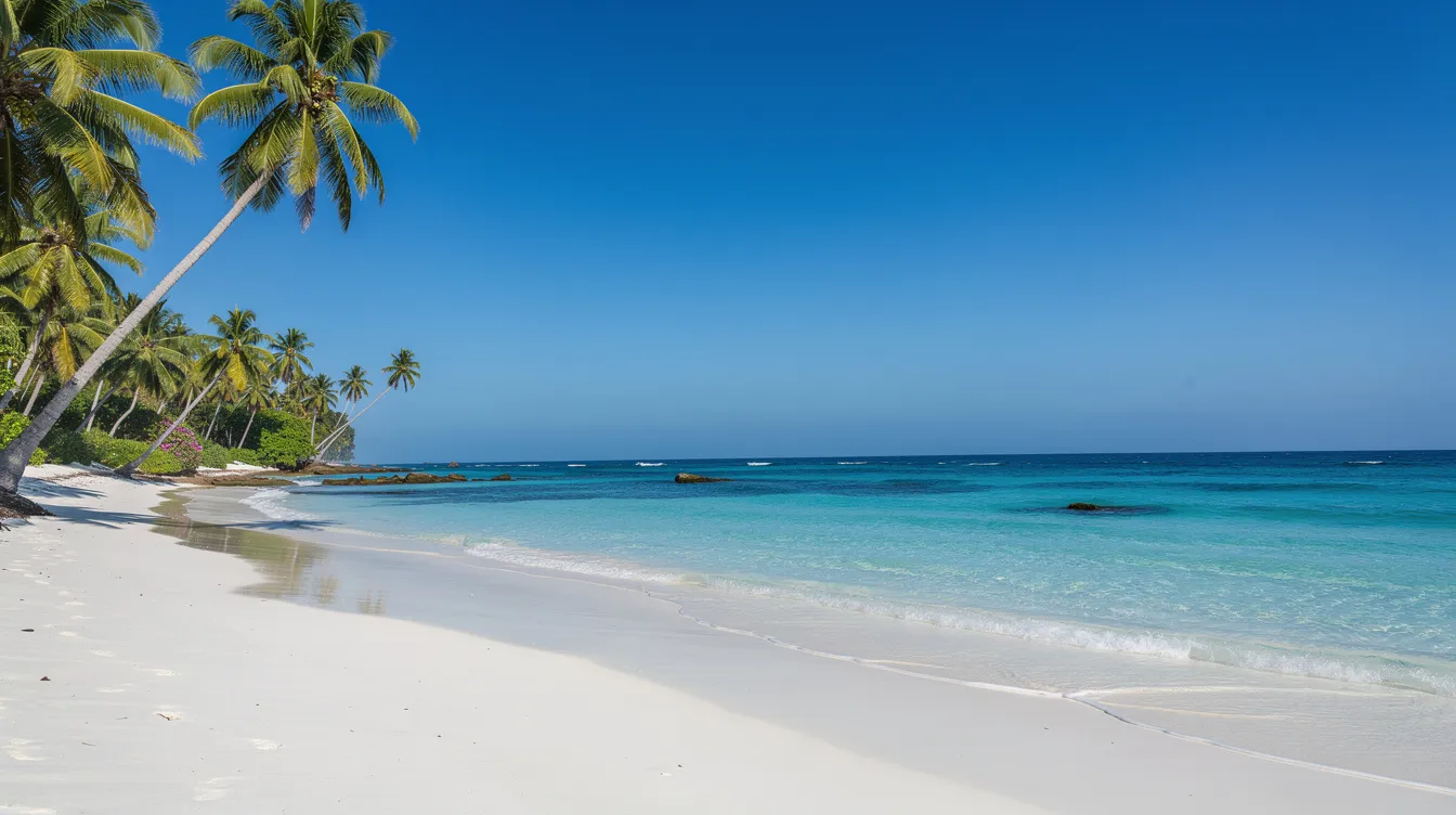 Een tropisch strand op Curaçao met palmbomen die zich uitstrekken naar de helder turquoise zee, onder een strakblauwe lucht. Dit paradijsje biedt een perfecte omgeving voor vakantieverhuur en ontspanning.