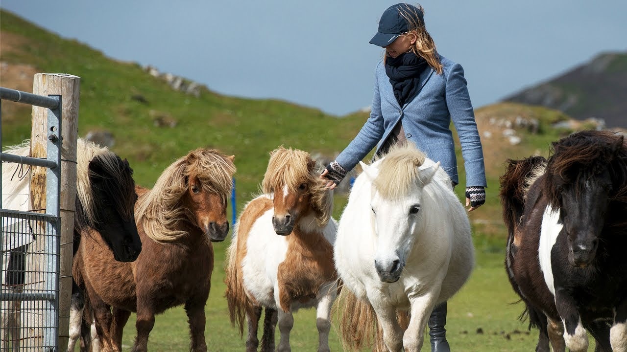 Horse owner with her miniature horses