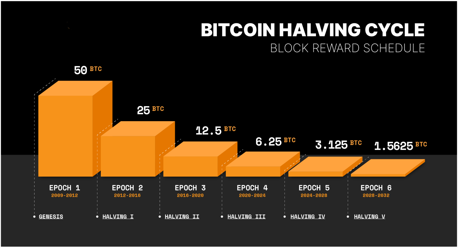 The halving timeline