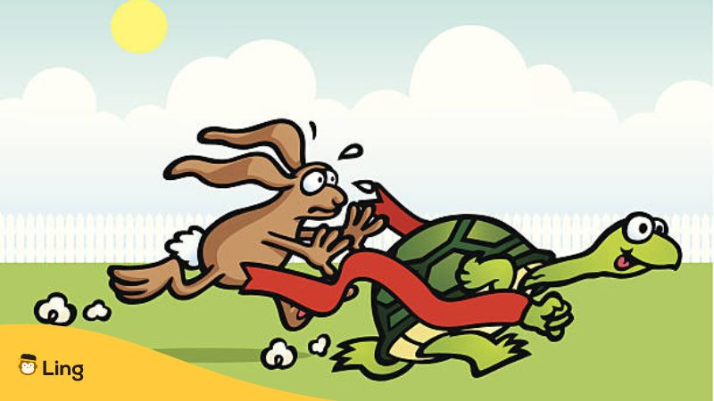 A turtle and a rabbit are having a running race