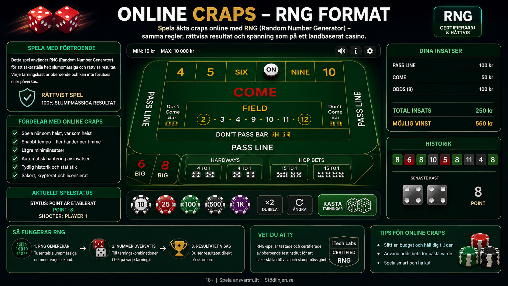 Exempel på online craps med RNG-format, digitalt spelbord och olika insatser.