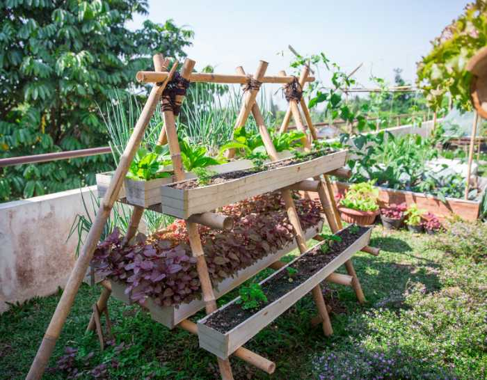 Maintain a rooftop urban farm for access to fresh local food. 