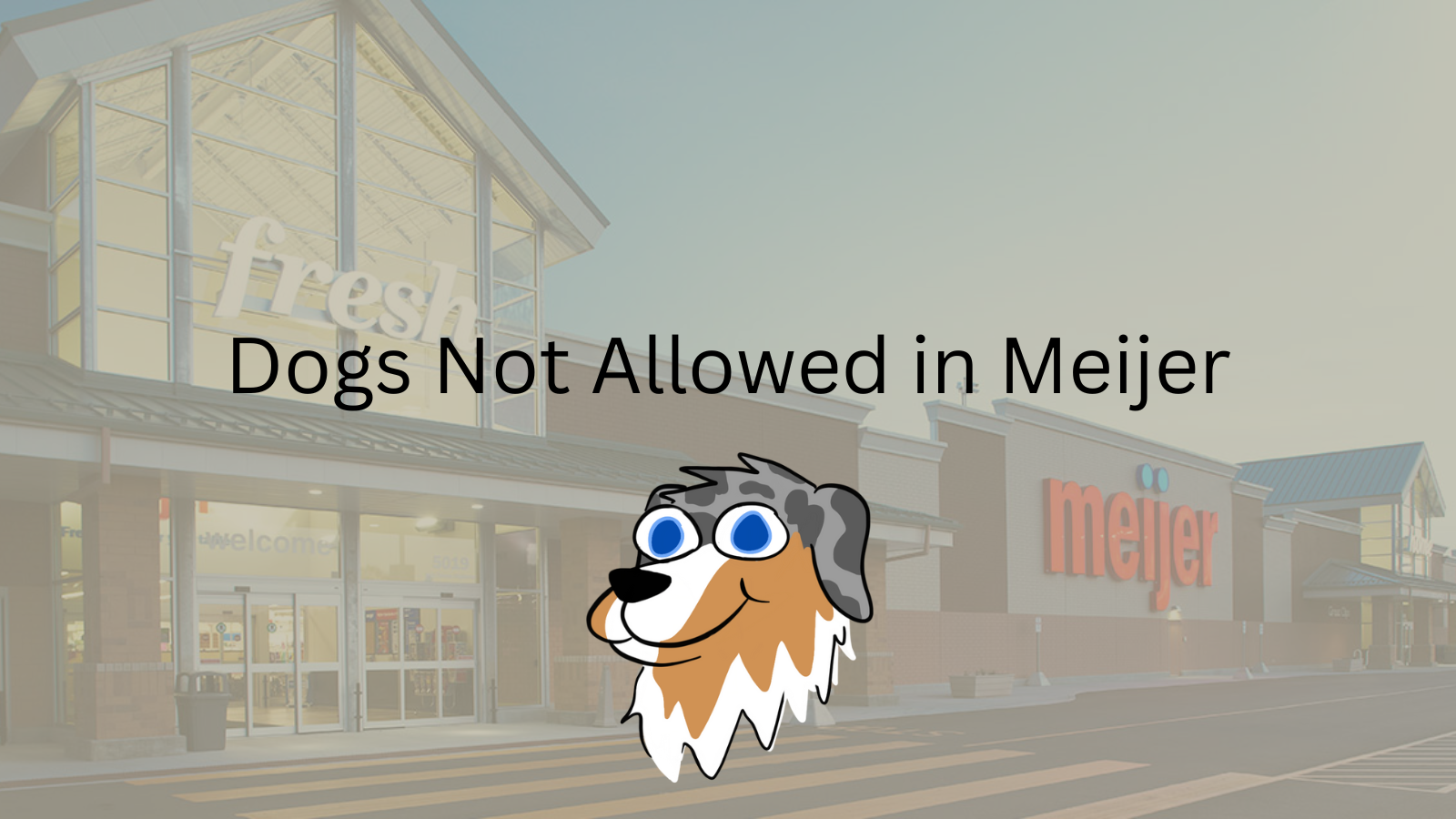 Image Text: "Dogs Not Allowed in Meijer"