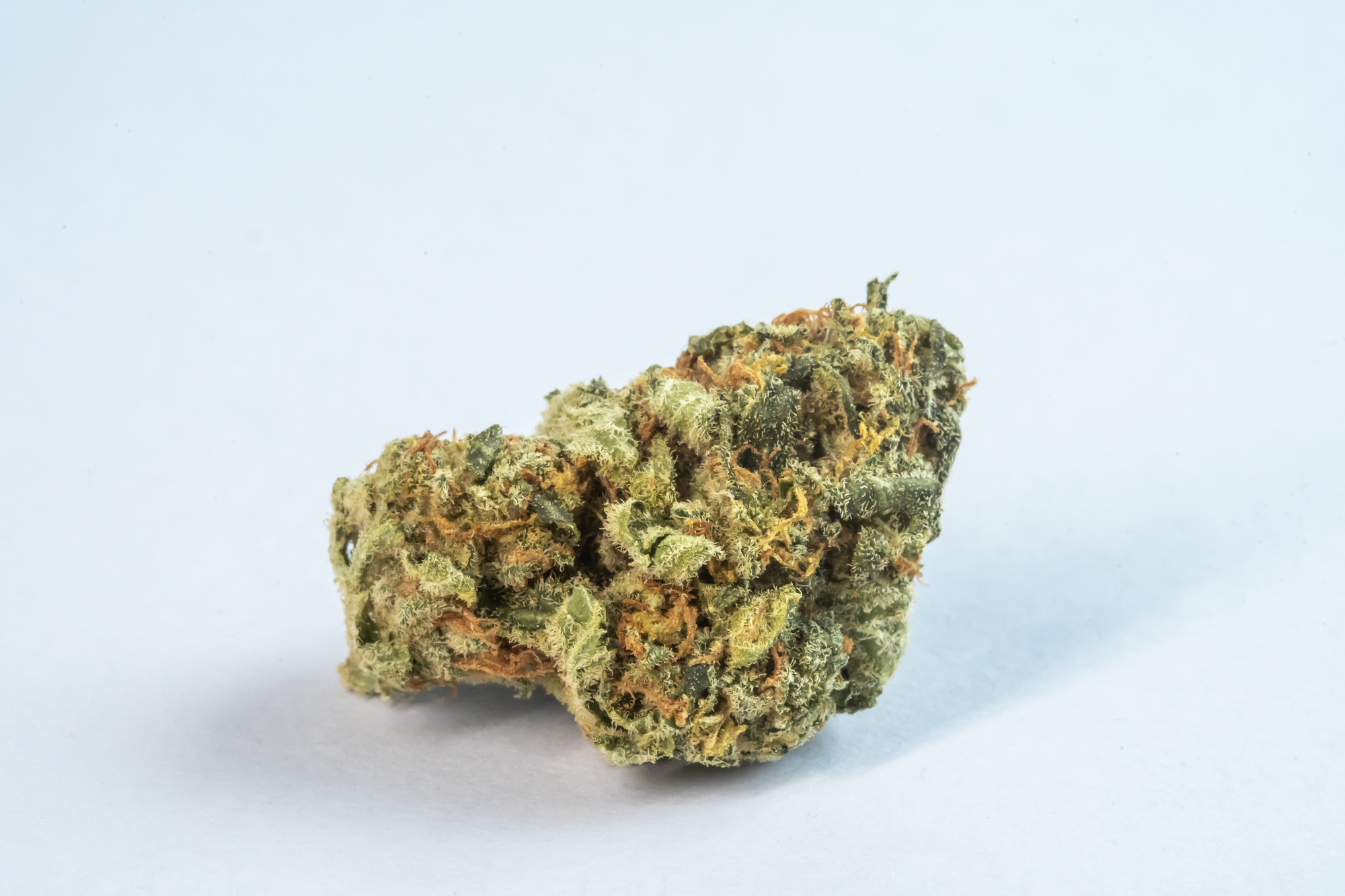 what are the thc level of gelato strains