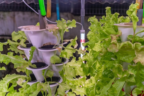 A picture of a hydroponic tower with many plants growing in it and a person troubleshooting it