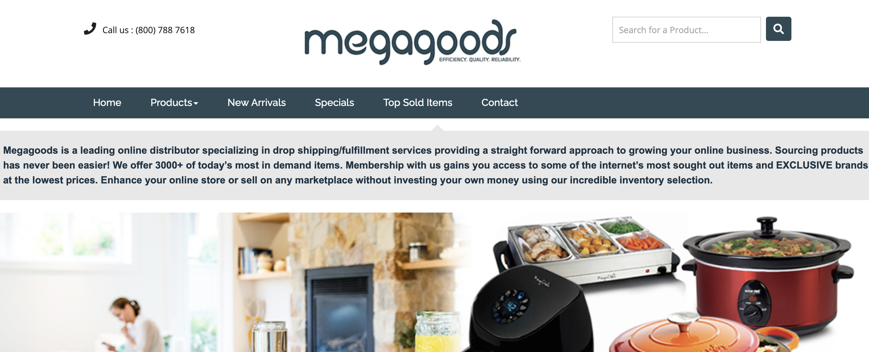 best dropshipping suppliers - megagoods