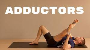 Hip Adductor/ Groin Stretch - Active Isolated Stretching - YouTube