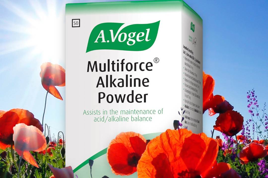blood alkalinising properties, kidney stones, diuretic and alkalinising effect, supplement with red flowers scene