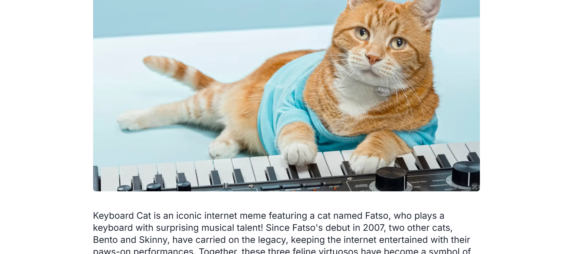 Origin story of Keyboard cat