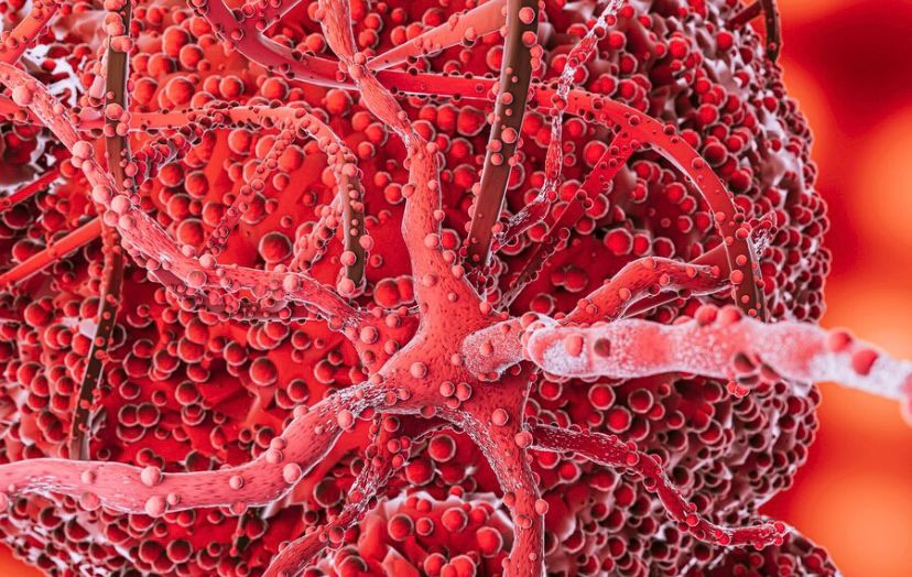 A vitamina C é importante para a integridade dos vasos sanguíneos. Fonte da imagem: freepik.