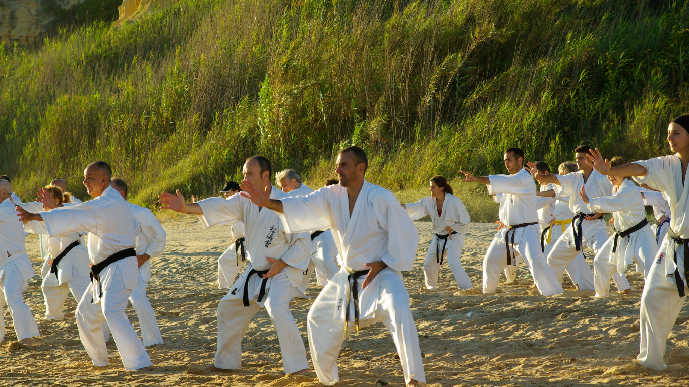 karate journey, new self defense training