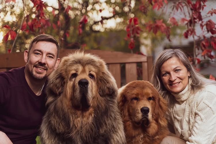 a wonderful family with their healthy tibetan mastiff