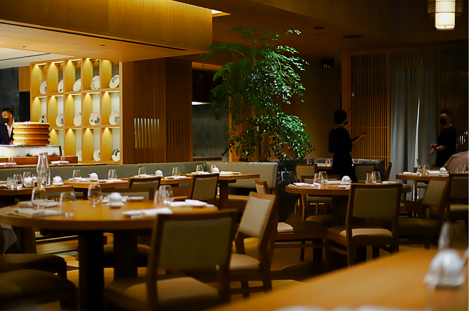 Elegant restaurant interior with wooden tables and chairs, soft lighting, and a wall of decorative plates. A large plant adds a touch of greenery, while two staff members converse, creating a calm and inviting atmosphere.